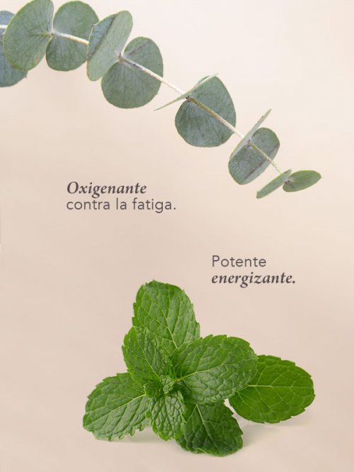 JABON ARTESANAL MENTA + EUCALIPTO